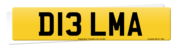 Registration number D13 LMA